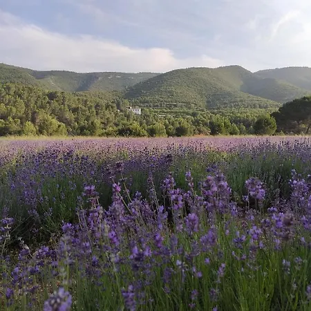El Maset D'aielo